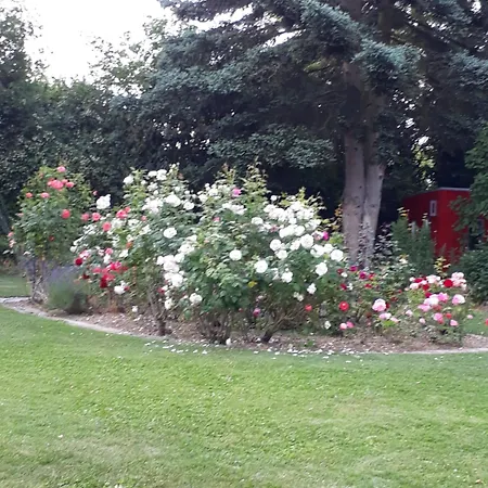 Lichtdurchflutetes Atelierhaus Mit Skulpturenpark