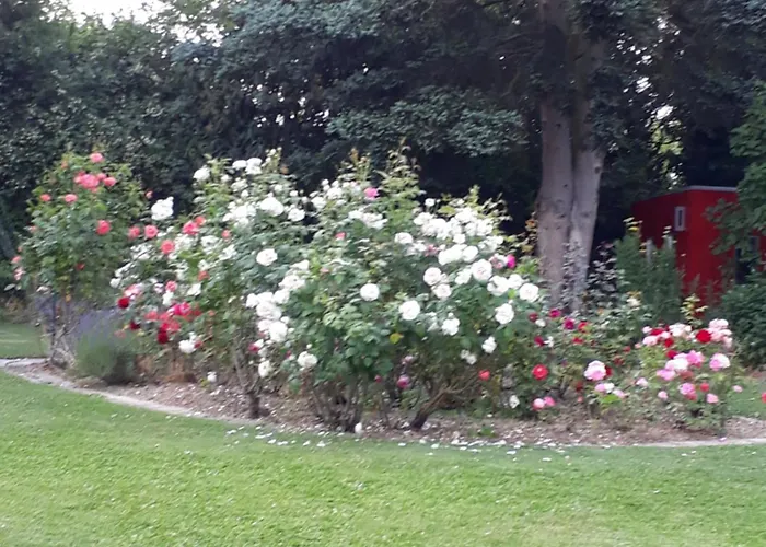 Lichtdurchflutetes Atelierhaus Mit Skulpturenpark